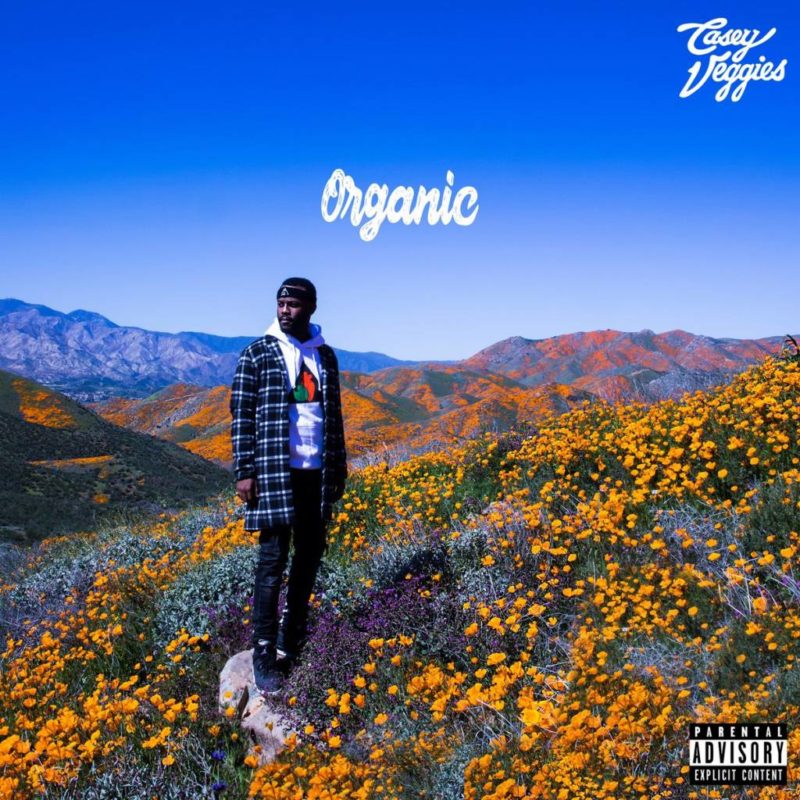 Stream Casey Veggies Organic Album