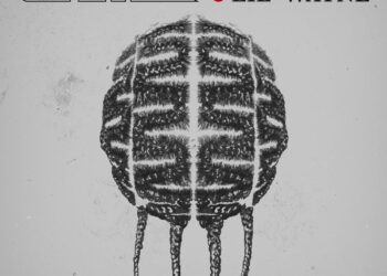 The Game & Lil Wayne Connects For New Song 'A.I. with the Braids'