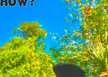 Artist lyndsy Releases his Debut Single 'WHY, HOW?'