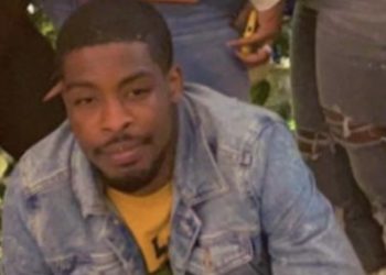 Sir Aped Is Next Up For 2022