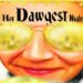 REBECCA DGD (dawggonedavis) PRESENTS: Hot Dawgest Night