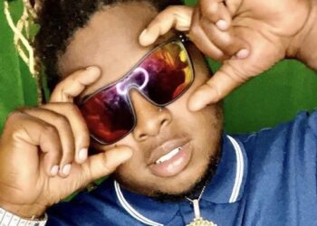 Introducing: GMOE LIL DIFF