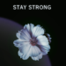 Introducing Yuji: A Rising Star in the Melodic Rap Scene with Debut Single "Stay Strong"
