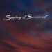Heartfelt Song “Symphony Of Bereavement” Dedicated to the Pain of Losing a Loved One Released