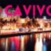 Socavivor Is Set to Take Miami by Storm this Upcoming Columbus Weekend