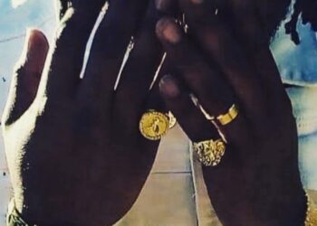 Roosevelt Bacon IV: Unveiling Faces Through Music