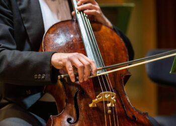 An Overview of Stringed Instruments: From Bows to Strings