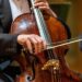 An Overview of Stringed Instruments: From Bows to Strings