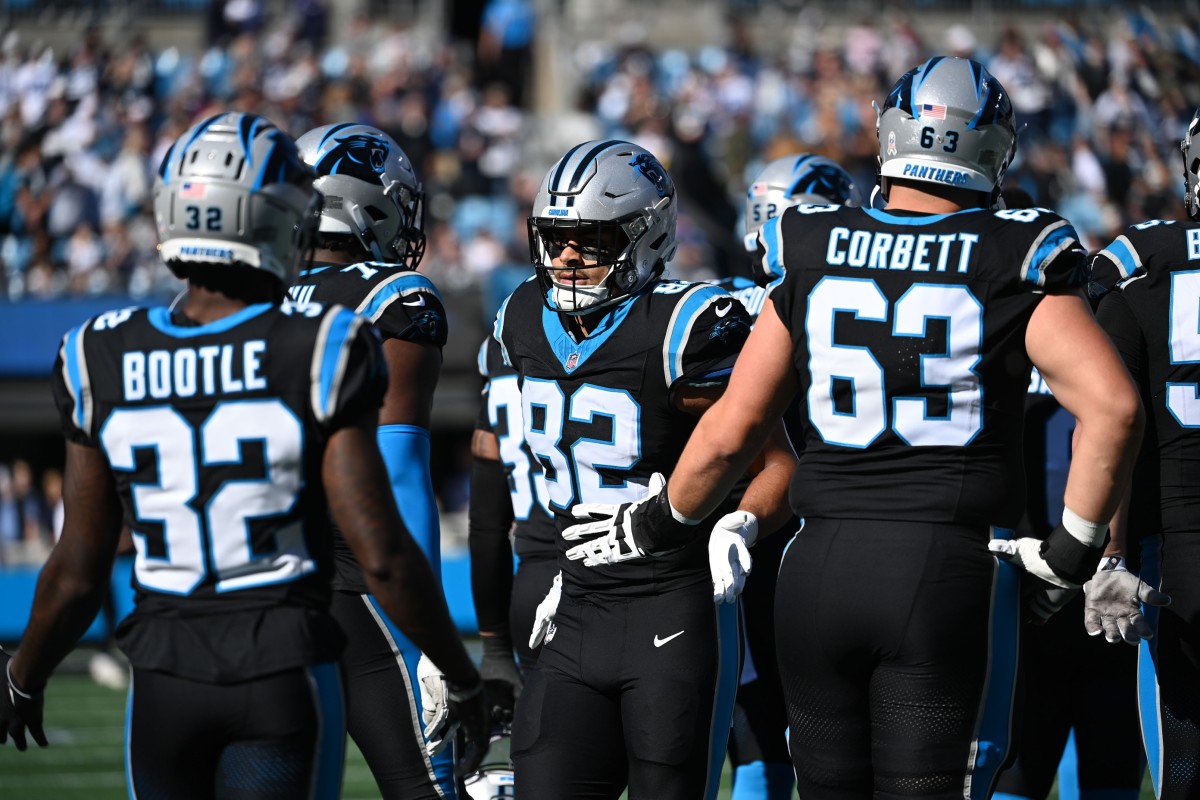 The Panthers' Lasting Influence on North Carolina's Culture