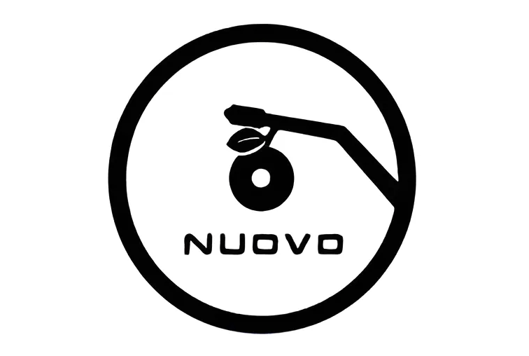Nuovo Entertainment Leading Artists To Success In The Music Industry