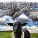 YoBoi L's "Black Sheep" – A Powerful Statement