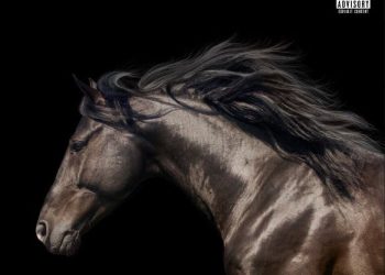 Perseus Is the Gladiator Virginia’s Been Waiting For