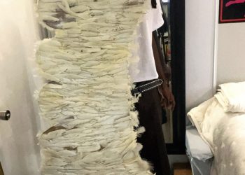 Swan Paradise Rediscovers Creative Freedom on Brightest Hour