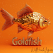 Goldfish: An Oakland Love Story – Turning Memory Into Music, And Music Into Light