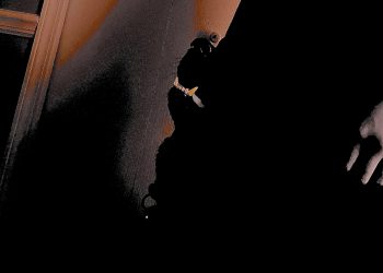 From Overlooked to Unshaken: Kidd Malice Builds in Silence