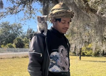 Seo Dream: Turning Pain Into Purpose Through Music