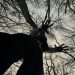 Emerging Artist Abiel Introduces a Dark, Emotional Sound Built on Personal Story