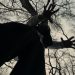 Emerging Artist Abiell Introduces a Dark, Emotional Sound Built on Personal Story