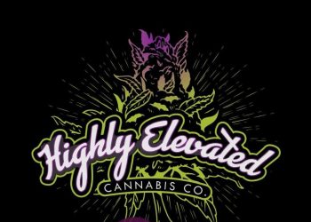 The Afterlife Festival Officially Announced For June 19 In Akwesasne, NY
